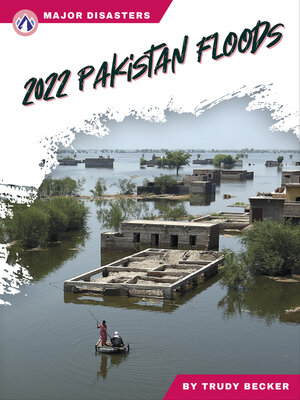 cover image of 2022 Pakistan Floods